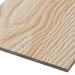 Фиброцементные панели FCSPRO Decor Wood Лиственница купить в Ноябрьске